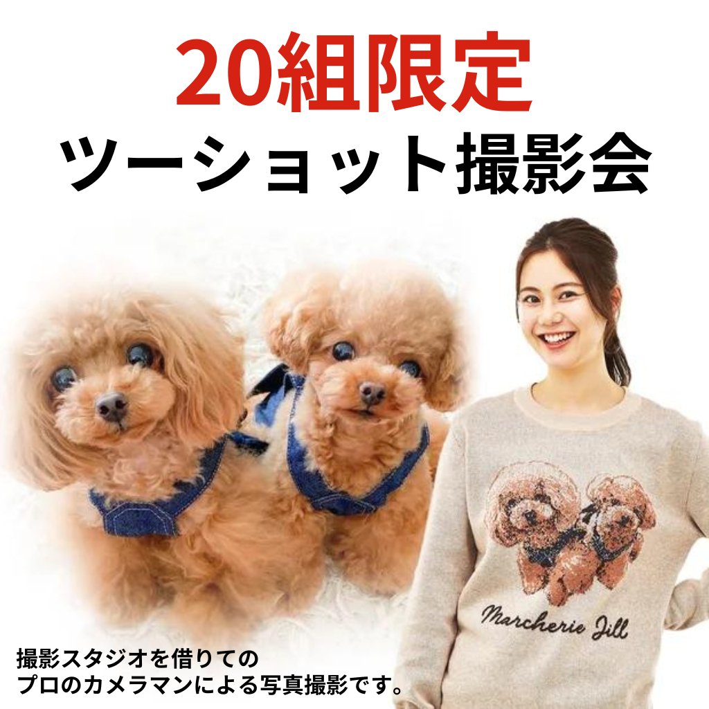 【20組限定】撮影交流会(9月分) - tricopet - 愛するペットでつくる、世界で一つのオリジナルニット制作