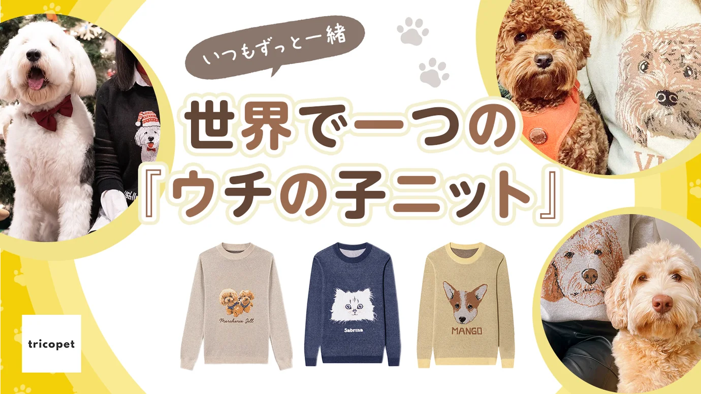 ペットの写真からオリジナルニット製品を簡単作成 | tricopet 