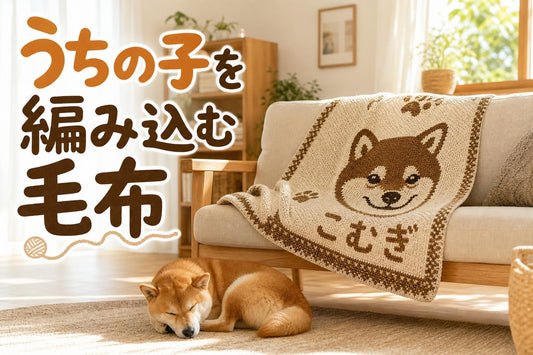 日当たりのよいリビングのソファに、柴犬の顔と名前風の模様が編み込まれたアイボリー×ブラウンのニットブランケットが無造作に掛けられている生活感のあるミディアムショット。ソファの足元に本物の柴犬が丸くなって眠っている。午後の柔らかい光、居心地のよい北欧風インテリア。ブランケットの編み地の質感がわかる解像感