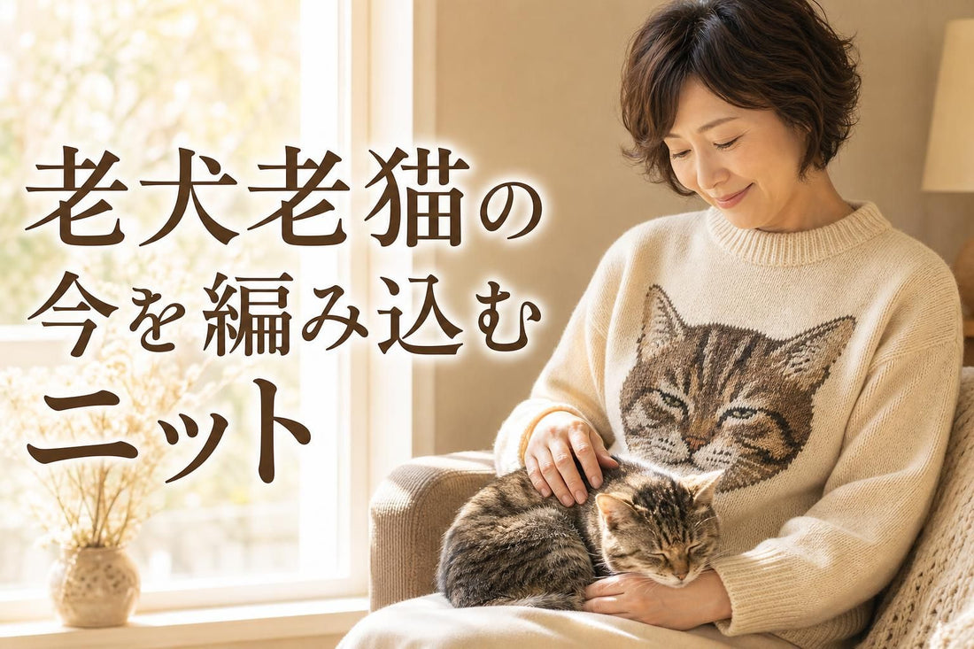 老猫を膝に抱き、うちの子ニットセーターを着る日本人女性