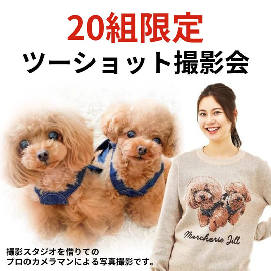 【20組限定】撮影交流会（9月分） - tricopet - 愛するペットでつくる、世界で一つのオリジナルニット制作